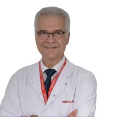 Prof.Dr. Hayrullah Derici