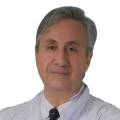 Prof.Dr. Altan Yıldız