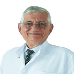 Prof.Dr. Ali Biçimoğlu