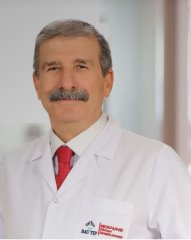Prof.Dr. Mehmet Parlak