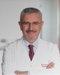 Prof.Dr. Mehmet Güler