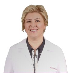 Prof.Dr. Meral Şen