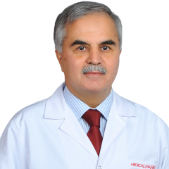 Prof.Dr. Mehmet Tosun