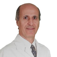 Prof.Dr. Ali Şengül