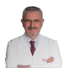 Prof.Dr. Mehmet Güler