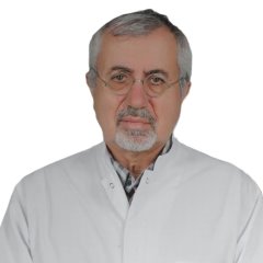 Prof.Dr. Dursun Kırbaş
