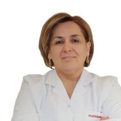 Prof.Dr. Işılay Nadir