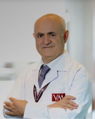 Prof.Dr. Davut Albayrak