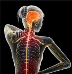 Brain and Spine Surgery (Neurosurgery) in Türkiye | MPGCARE