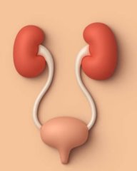 Urology and Urological Cancer Care in Türkiye | MPGCARE
