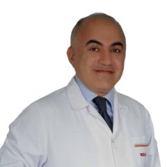 Prof.Dr. Ceyhun Bozkurt