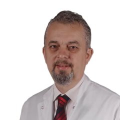 Dr.Öğr.Üye Ertunga Öney