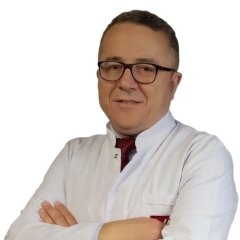 Prof.Dr. Mesut Sezikli