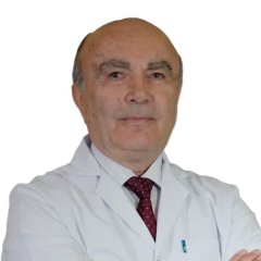 Prof.Dr. Vahdet Gül