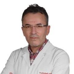 Prof.Dr. Rafi Doğan