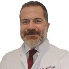 Prof.Dr. Ali Civelek