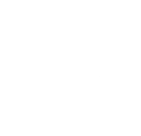 VIP Transfer