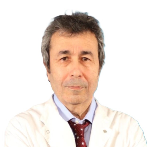 Prof.Dr. Vedat Kaya