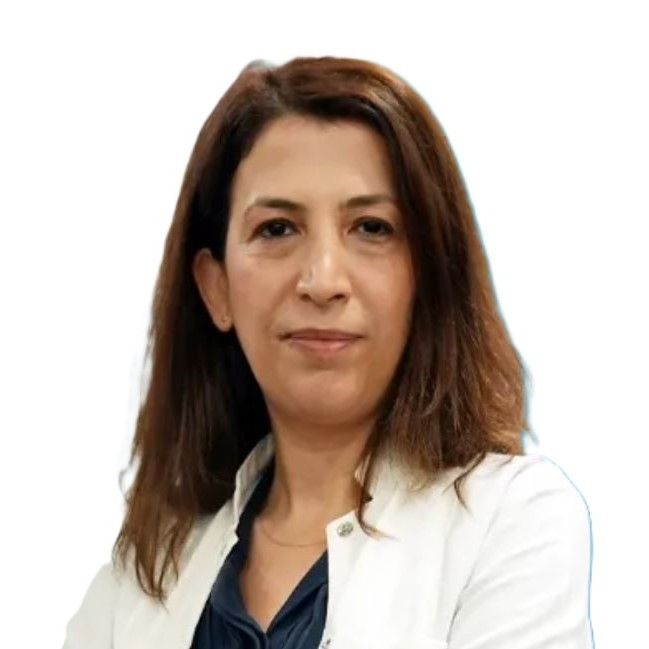 Dr.Öğr.Üye Mediha Tok Çevik