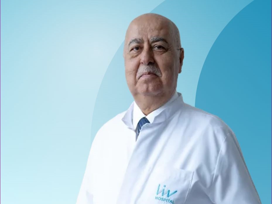 Prof.Dr. Nihat Egemen