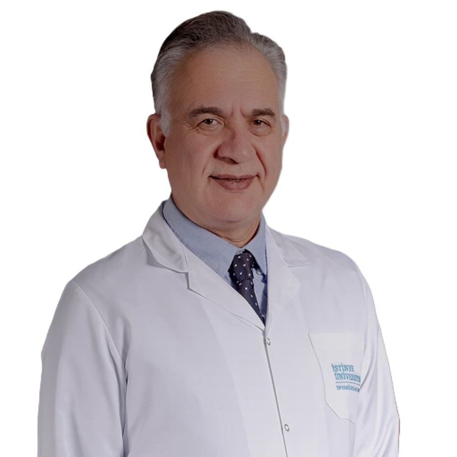 Prof.Dr. Berkan Mersa