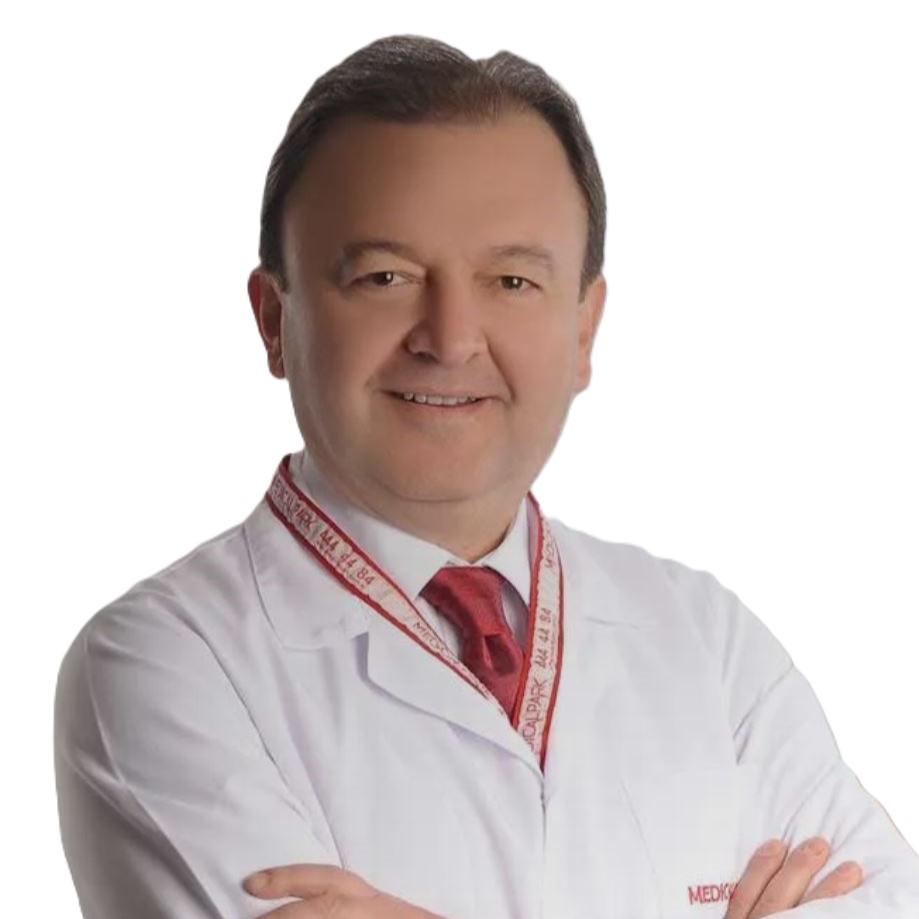 Prof.Dr. Ahmet Hakan Vural