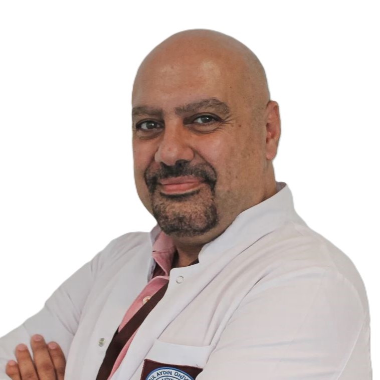 Prof.Dr. Umut Mert Aksoy