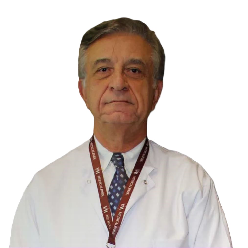 Prof.Dr. Mustafa Ateş Özyeğin