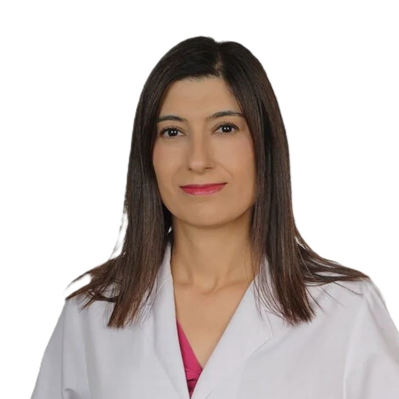 Dr.Öğr.Üye Aypınar Kolay