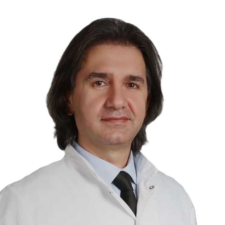 Prof.Dr. Hakan Levent Gül
