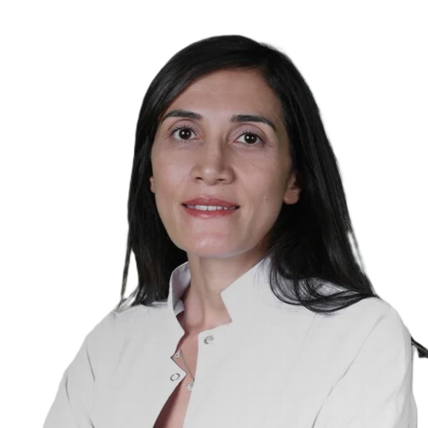 Dr.Öğr.Üye Elif Sarı